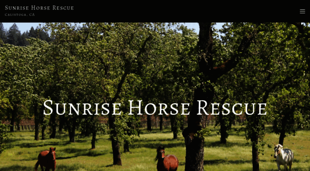 sunrisehorserescue.org