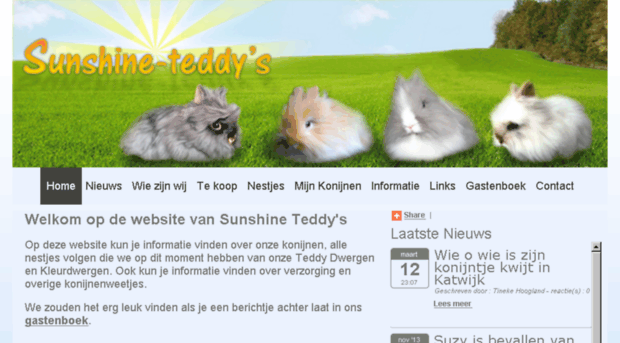 sunshine-teddys.ibloxs.nl