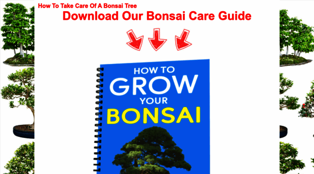 sunshinebonsai.com