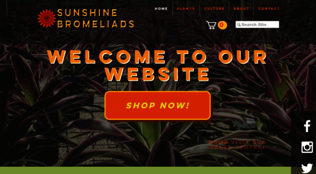 sunshinebromeliads.com