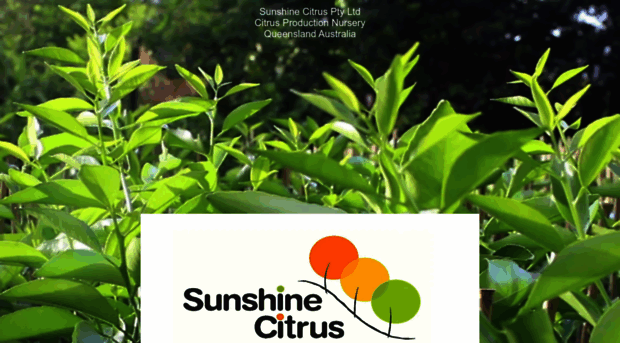 sunshinecitrus.com.au