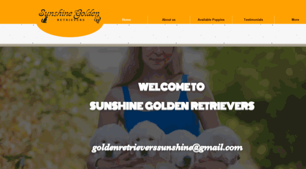 sunshinegoldenretrievers.com