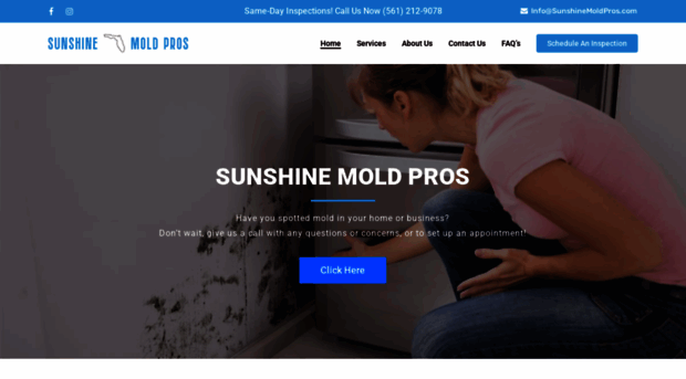 sunshinemoldpros.com