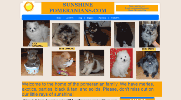 sunshinepomeranians.com