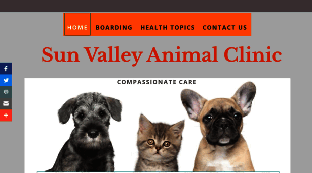 sunvalleyanimalclinic.com