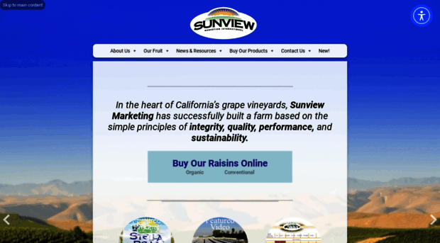 sunviewmarketing.com