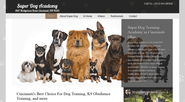 superdogdantraining.com