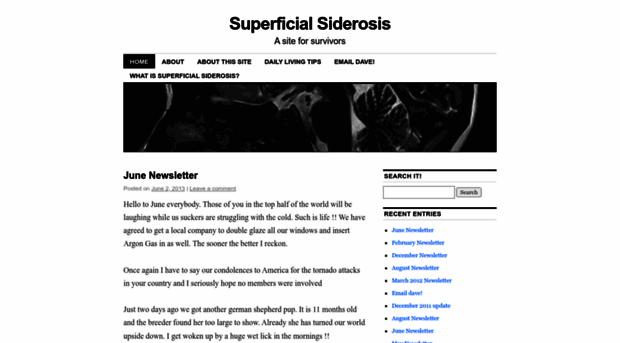 superficialsiderosis.wordpress.com