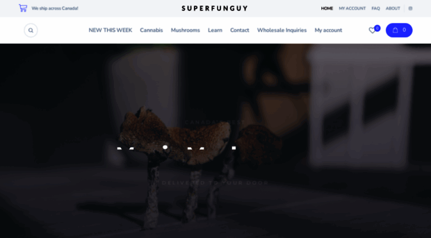 superfunguy.net