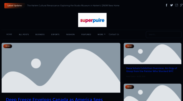 superpureinsightpoint.nl