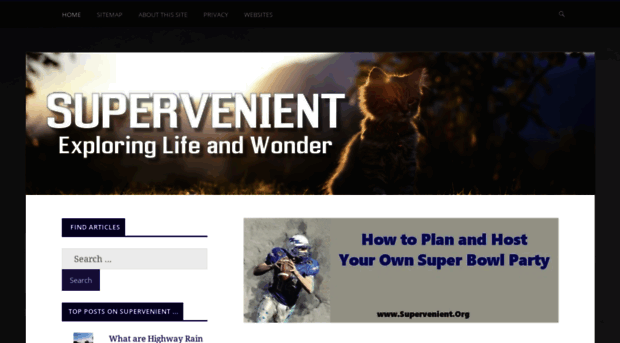 supervenient.org