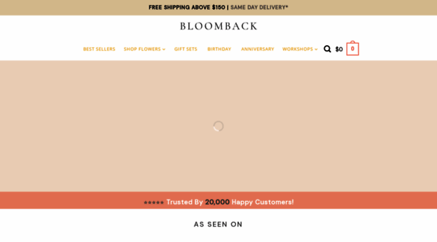 support.bloomback.org