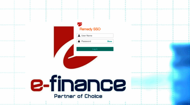 support.efinance.com.eg