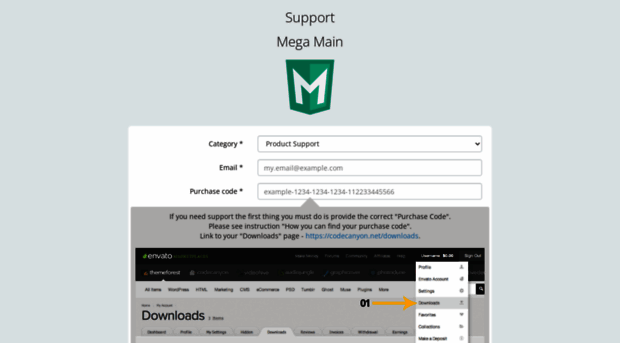 support.megamain.com