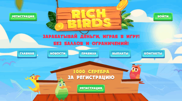 support.rich-birds.com