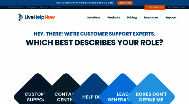 supportsystem.livehelpnow.net