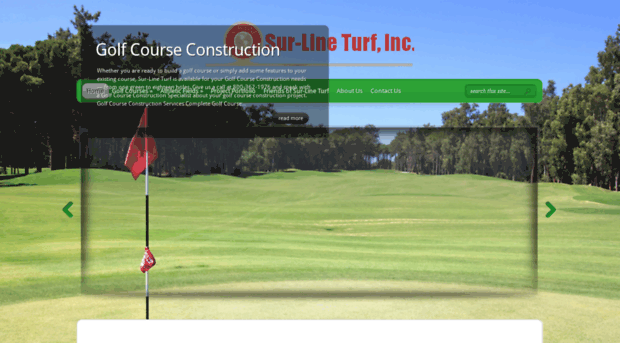 sur-lineturf.com