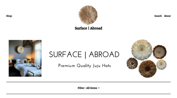 surfaceabroad.com