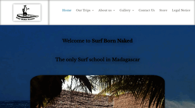 surfbornnaked.com