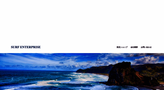 surfenterprise.jp