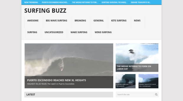surfingbuzz.com