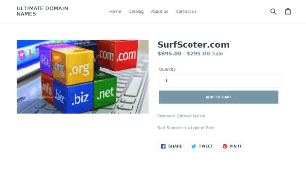 surfscoter.com