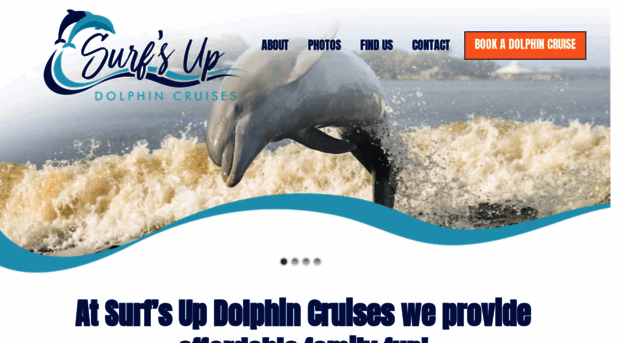 surfsupdolphincruise.com