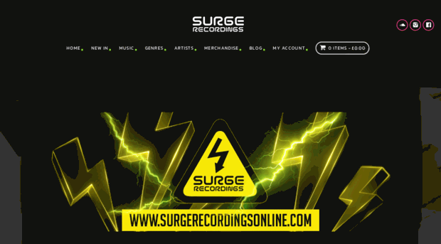 surgerecordingsonline.com