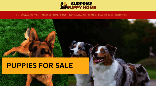 surprisepuppyhome.com