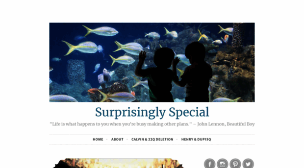 surprisinglyspecial.com