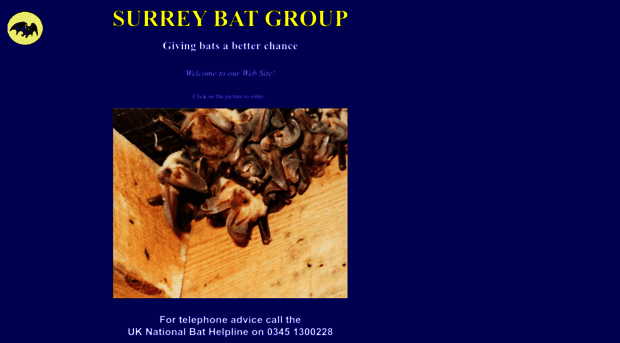 surreybats.org.uk