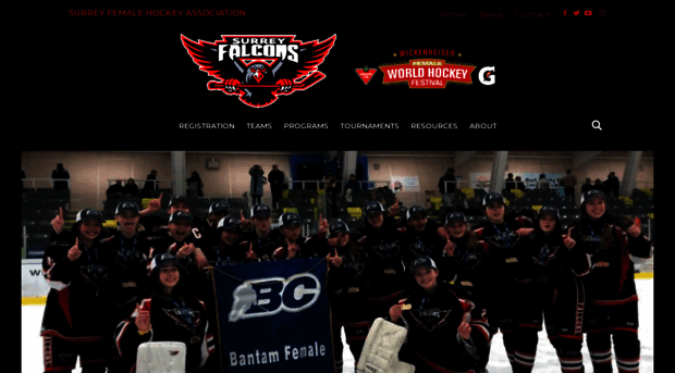 surreyfalcons.ca