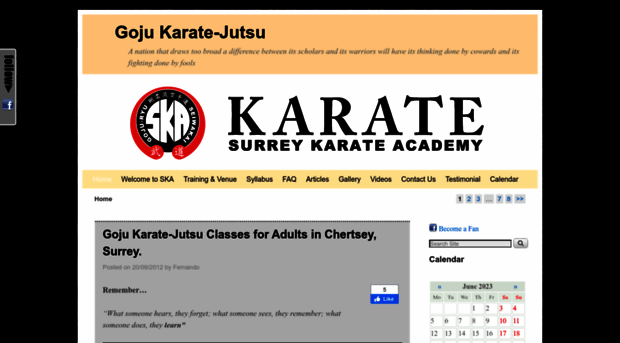 surreykarateacademy.co.uk