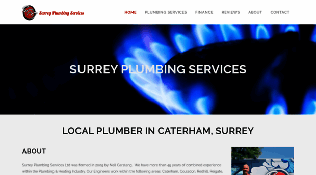 surreyplumbingservices.co.uk