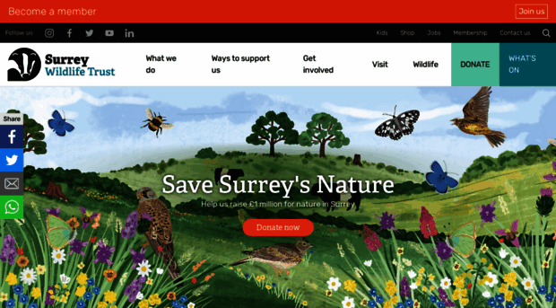 surreywildlifetrust.org