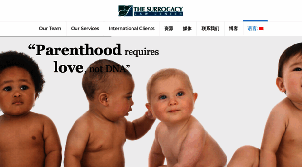 surrogacy-lawyer.com