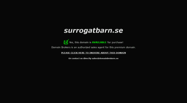 surrogatbarn.se