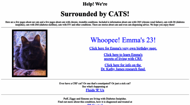 surroundedbycats.com