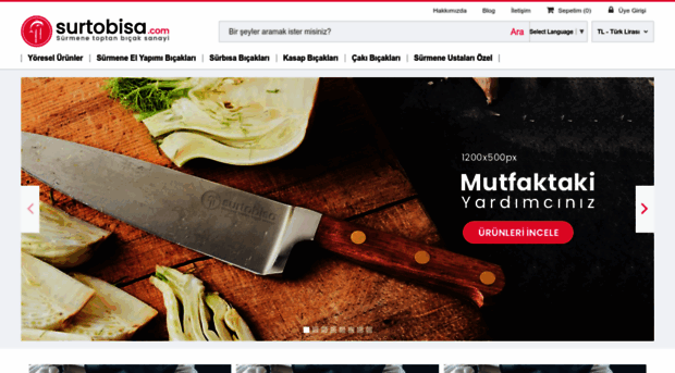 surtobisa.com