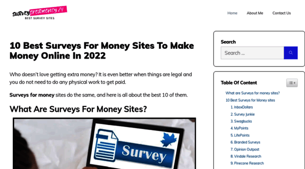 surveysformoney24.com