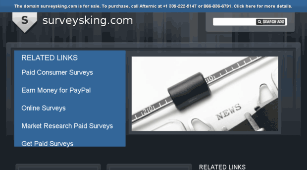 surveysking.com