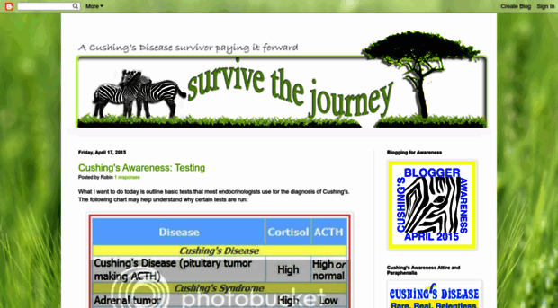 survivethejourney.blogspot.com