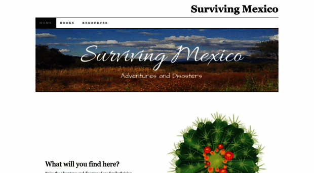 survivingmexico.com