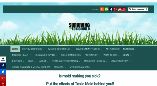 survivingtoxicmold.com