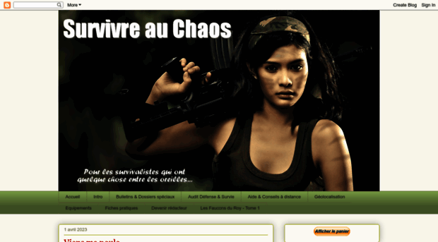 survivreauchaos.blogspot.fr