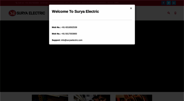 suryaelectric.com