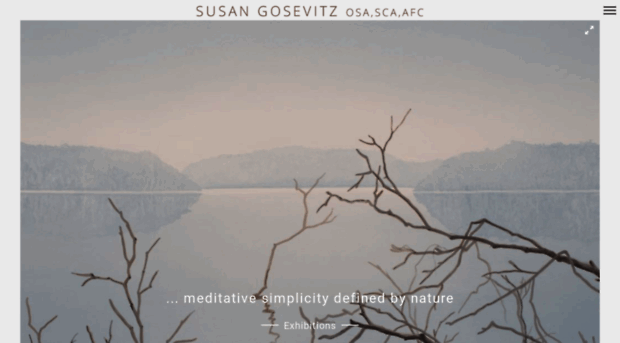 susangosevitz.com