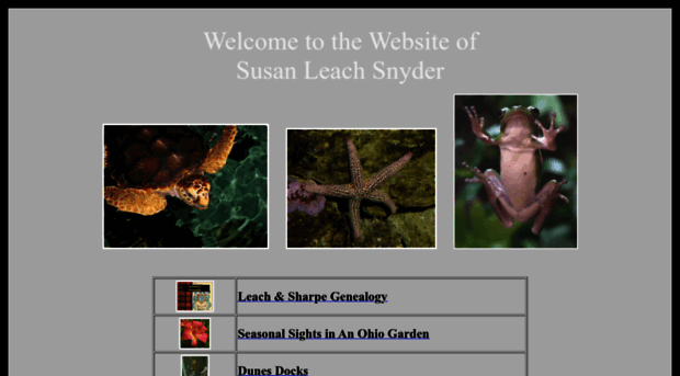 susanleachsnyder.com