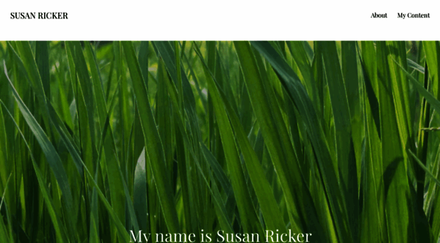 susanricker.com