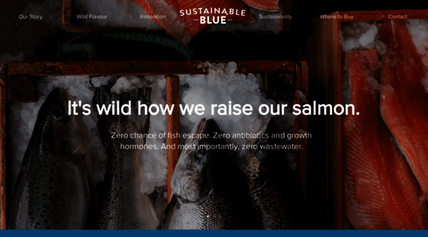 sustainableblue.com